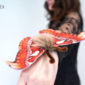 atlas moth costume