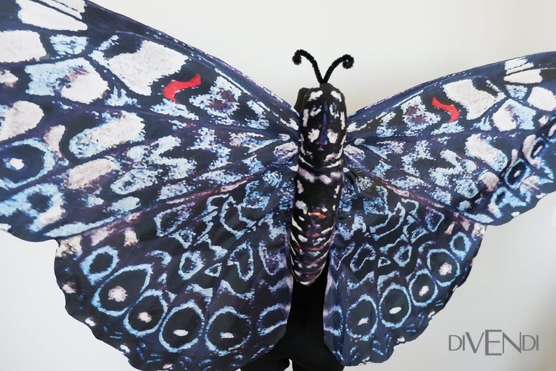 blue butterfly wings