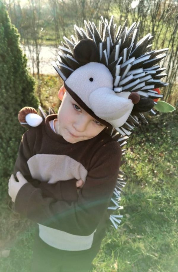hedgehog costume for kids