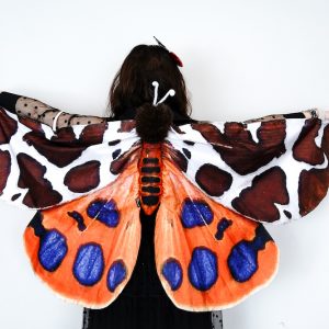 tiger moth wings